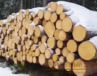 Усадка дома из профилированного бруса